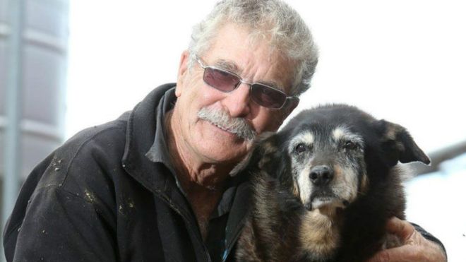 Anjing tertua di dunia mati pada usia '133' tahun