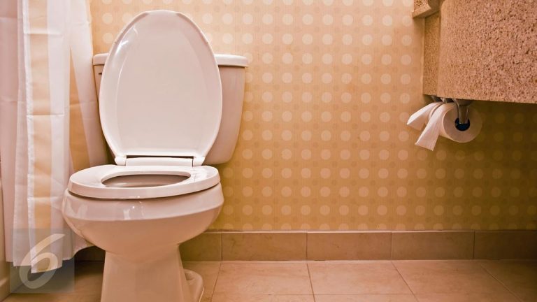 Sebelum Pakai Tisu Toilet Begini Cara Orang Kuno Bersihkan Kotoran Setelah BAB