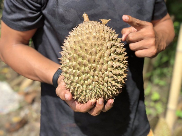 Bikin Ngakak Kejadian Kocak dan Aneh Ini Karena Buah Durian