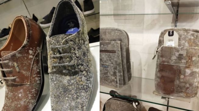 Viral Foto Sepatu dan Tas Berjamur Diduga Akibat Terlalu Lama Tak Dijamah