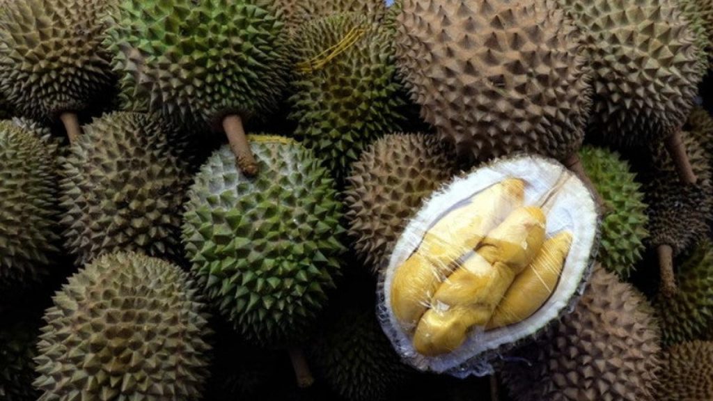Karena Paket Durian Beraroma Menyengat 6 Petugas Pos di Jerman Dilarikan ke RS